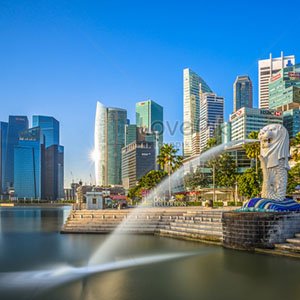 budget international  package